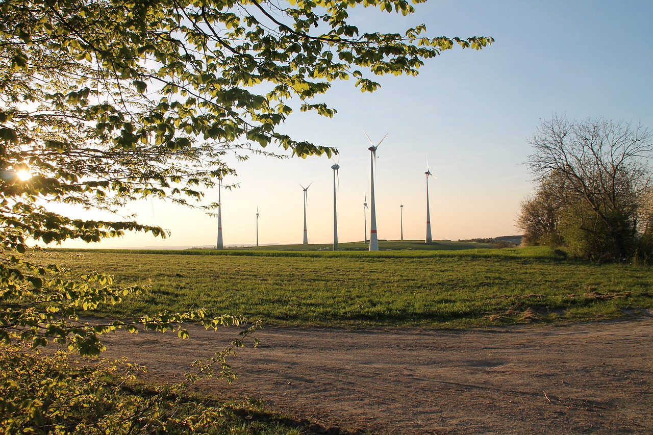 Technology Advancements Aiding in Conservation